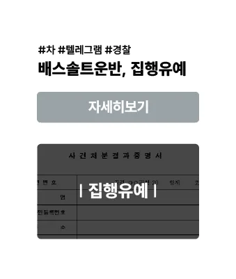 베스솔트 운반 — 집행유예 사례 이미지